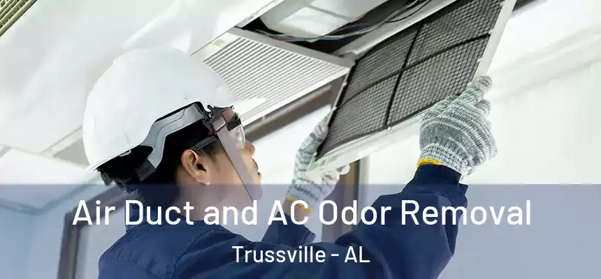  Air Duct and AC Odor Removal Trussville - AL