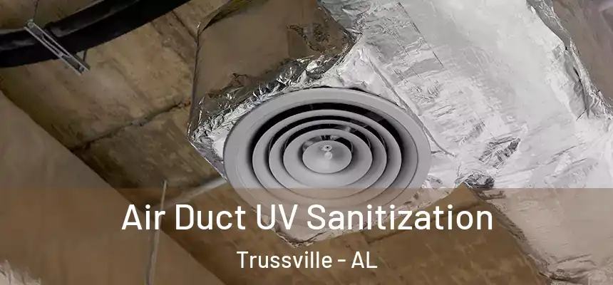  Air Duct UV Sanitization Trussville - AL