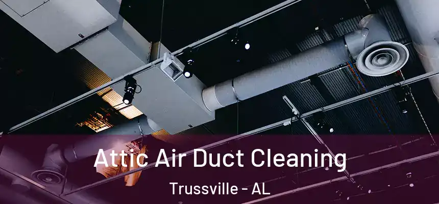  Attic Air Duct Cleaning Trussville - AL
