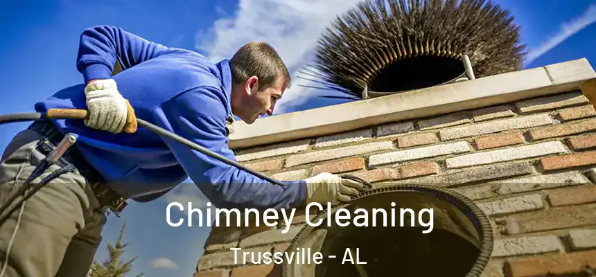  Chimney Cleaning Trussville - AL