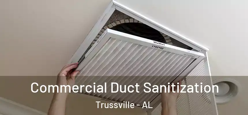  Commercial Duct Sanitization Trussville - AL