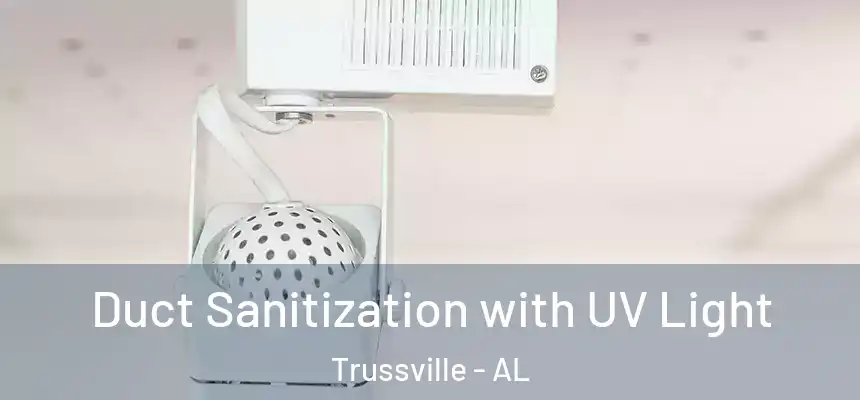  Duct Sanitization with UV Light Trussville - AL