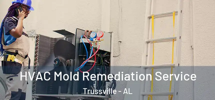  HVAC Mold Remediation Service Trussville - AL