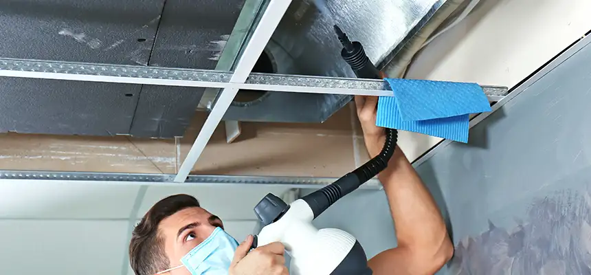 Our Air Duct Rodent Removal Services in Trussville, AL