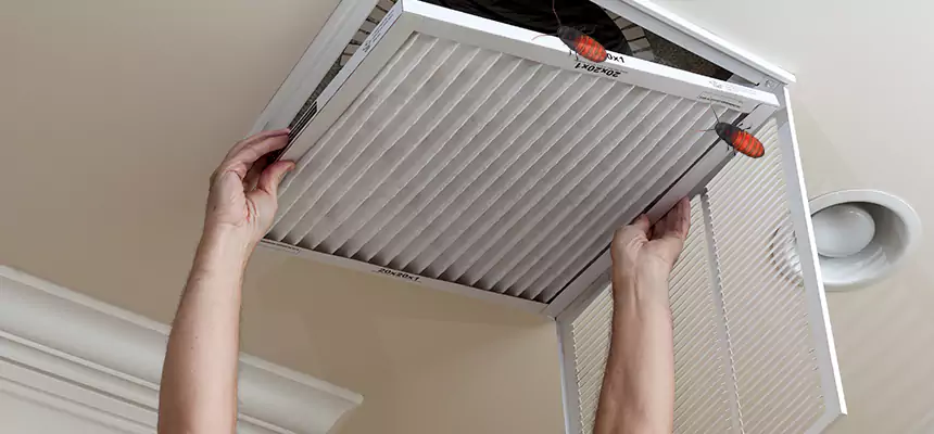 Our Insect Removal from Air Ducts Services in Trussville, AL