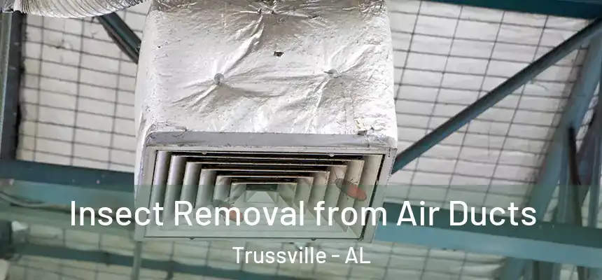  Insect Removal from Air Ducts Trussville - AL