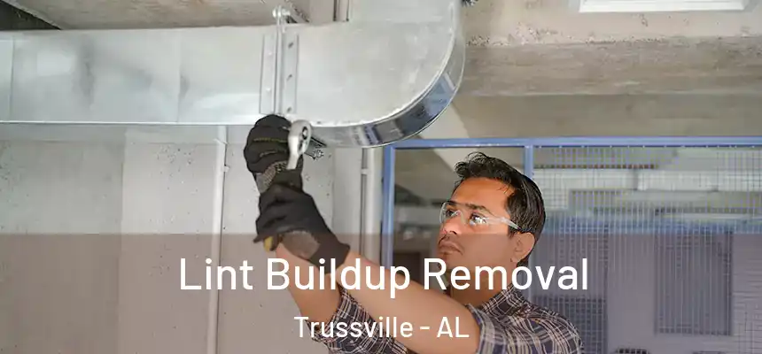  Lint Buildup Removal Trussville - AL