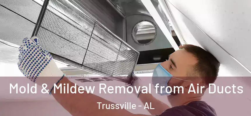  Mold & Mildew Removal from Air Ducts Trussville - AL