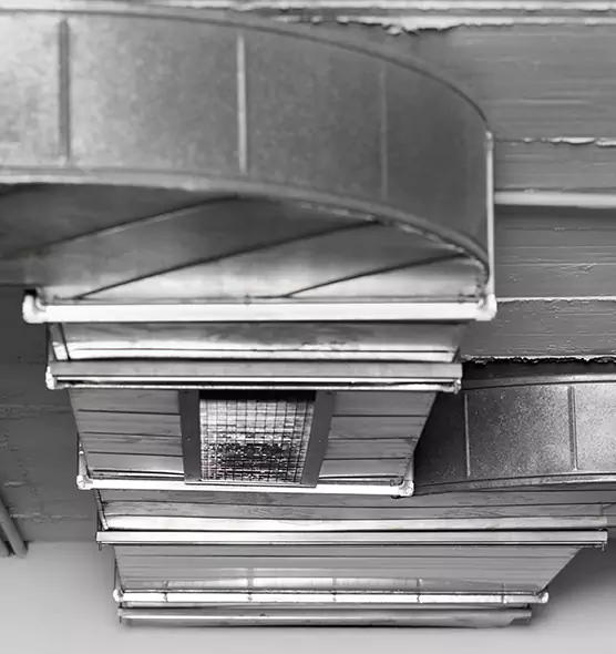 Professional Air Duct Pest Removal in Trussville, AL