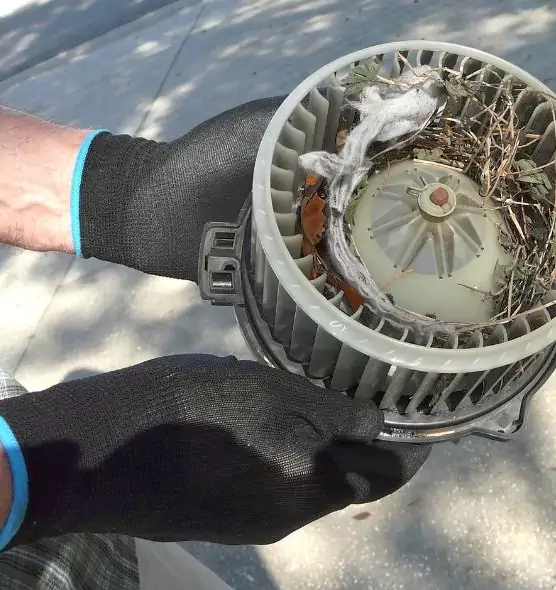 About Air Duct Rat Removal in Trussville, AL