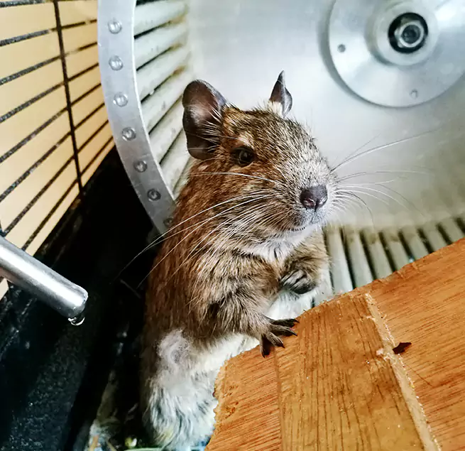 Why Homeowners & Businesses Trust Us Trussville, AL